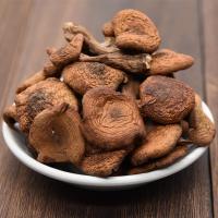 长白山新货小鸡炖榛蘑菇东北榛蘑干货榛蘑菇250g