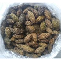 广西灵山特产办公室开胃零食橄榄干果咸橄榄干橄榄500克