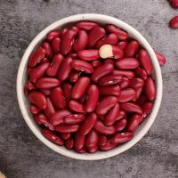 东北红芸豆500gX2 红腰豆大红豆五谷杂粮粗粮豆类