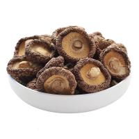 福建古田特产椴木香菇蘑菇金钱菇冬菇珍珠菇干货500g