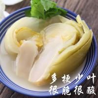 酸菜鱼的酸菜 1000g 广东潮汕澄海潮州正宗  芥菜酸菜 2斤