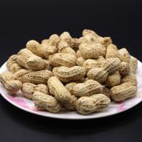 福建莆田特产花生 仙游水煮花生内香脆3斤 3斤
