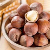 简装榛子新鲜美国开口大榛子奶油薄皮1000g [简装]美国大榛子2斤