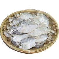 广西北海巴蝶鱼干500g特产海鲜干货海产品海燕鱼干小鱼干小银鱼干