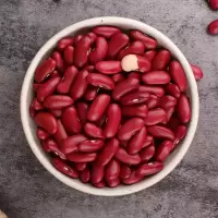 东北红芸豆500gX2 红腰豆大红豆五谷杂粮粗粮豆类