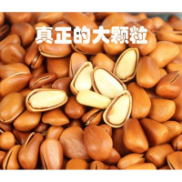 东北松子袋装手剥开口原味坚果散装干果红松子 大颗粒500g
