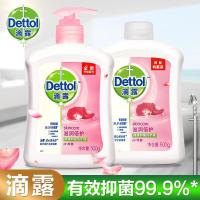 抑菌洗手液消毒家用儿童宝宝温和健康洗手液 经典松木500g*2