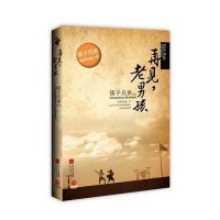   再见，老男孩Chopsticksbrothers978343671江苏文艺 9787539943671