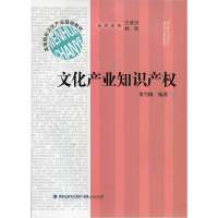   文化产业知识产权9787211065004董雪梅,福建人民出版社