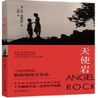 [9]天使岩,[澳]达伦·威廉姆斯,毛伟,时代文艺出版社,97838746402 9787538746402