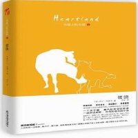   马背上的女孩--破晓(英)罗兰·布鲁克著天津教育出版社97830967140 9787530967140