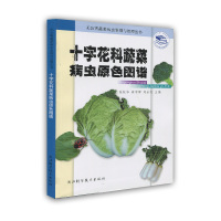   十字花科蔬菜病虫原色图谱——无公害蔬菜病虫鉴别与治理丛书陈桂华,蒋学辉,郑永利浙江科 9787534126109