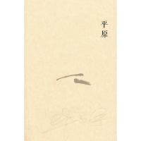   平原毕飞宇9787020101368人民文学出版社