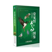   常见野鸟图鉴北京地区自然之友,野鸟会机械工业出版社9787111438168