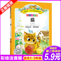   猫老舍著吉林美术出版社97838683134 9787538683134