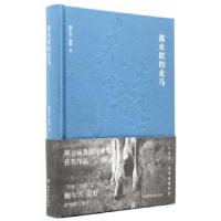   流水似的走马(第七届鲁迅文学奖获奖作品)鲍尔吉.原野湖南文艺出版社9784048 9787540484064