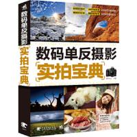   数码单反摄影实拍宝典(1DVD)(中青雄狮出品)978153135佳影 9787515313955