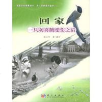   回家:一只灰喜鹊受伤之后谢立军9787030152817科学出版社