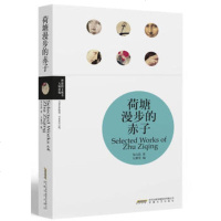   荷塘漫步的赤子(理想图文藏书大师新编)朱自清9783963644 9787539636443