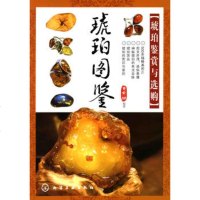  琥珀图鉴--琥珀鉴赏与选购9787122077042肖秀梅著,化学工业出版