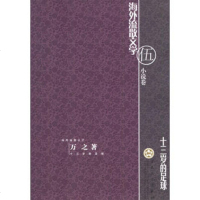   十三岁的足球万之百花文艺出版社978306364 9787530638064