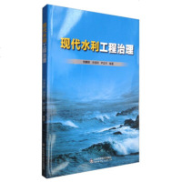   现代水利工程治理刘勇毅,孙显利,尹正平978331818山东科学技术出版社 9787533181895