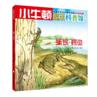   小牛顿魔法科普馆蜥蜴鳄鱼牛顿出版公司970718982海天出版社 9787550718982