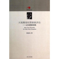   大规模侵权损害救济论——公政策的视角9787210062936熊进光,江西人民出版