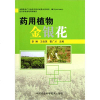   药用植物金银花李琳,王俊英,曹广才97811610294中国农业科学技术出版社 9787511610294