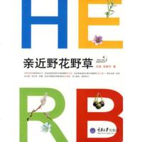   亲近野花野(彩版)(我爱自然丛书)辰,高新宇重庆大学出版社978624463 9787562446385