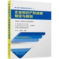   企业知识产权战略制定与规划杨勇,马维野著广东省知识产权局,深圳市知化学工业出版社 9787122264817