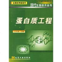   蛋白质工程——现物技术丛书大成化学工业出版社972538378 9787502538378