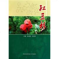   红豆杉张宗勤,刘志明9787810926232北农林科技大学出版社
