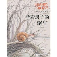   杨红樱画本科学童话系列背着房子的蜗牛杨红樱97835354716 9787535354716