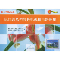   康佳普及型彩电视机电路图集康佳集团多媒体开发中心康佳集团多媒体用97871151 9787115128461