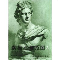   素描石膏范图3高维星97875035024天津杨柳青画社 9787805035024