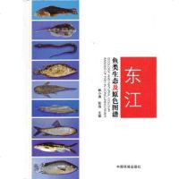   东江鱼类生态及原色图谱林小涛,张洁97811111333中国环境出版社 9787511111333