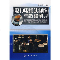   电力电缆头制作与故障测寻夏新民9787122020178化学工业出版社
