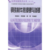   实用电镀技术丛书(2)--钢铁制件热浸镀与渗镀李新华9787122039279化学工