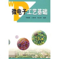   微电子工艺基础李薇薇9725203化学工业出版社 9787502595203