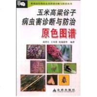   玉米高梁谷子病虫害诊断与防治原色图谱商鸿生,王凤葵等978222455金盾 9787508222455