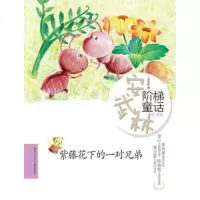   《安武林阶梯童话》系列紫藤花下的一对兄弟安武林9783193068 9787531930686