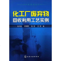   化工厂废弃物回收利用工艺实例97871220938张天胜,化学工业出版社 9787122093998