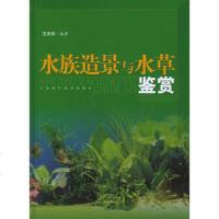   水族造景与水草鉴赏97832378869王庆祥,上海科学技术出版社 9787532378869