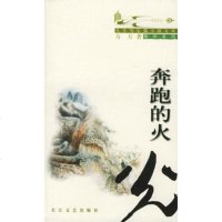  奔跑的火光方方97835422521长江文艺出版社 9787535422521
