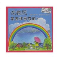   龙卷风是怎样形成的/新世纪儿童百科978339683(英)苏珊娜·斯 9787539539683