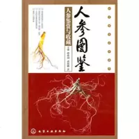   人参图鉴王伟等9787122115331化学工业出版社