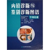   内镜诊断与鉴别诊断图谱:下消化道97838142556[日]多田正大, 9787538142556