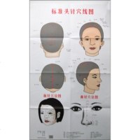   标准头针穴线图,王惠娟97615中国医药科技出版社 9787506751575