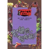   起航啦,鬼魂船!,(德)布雷齐纳,王泰智,沈惠珠9763333 9787506333399